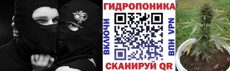 Купить закладки  Эртиль  Канабис сатива 